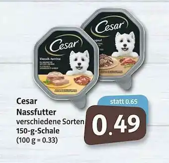 Markant Cesar Nassfutter Angebot