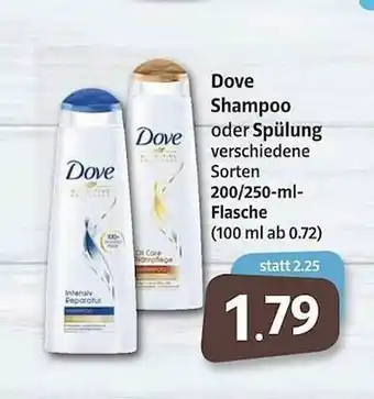 Markant Dove Shampoo Oder Spülung Angebot