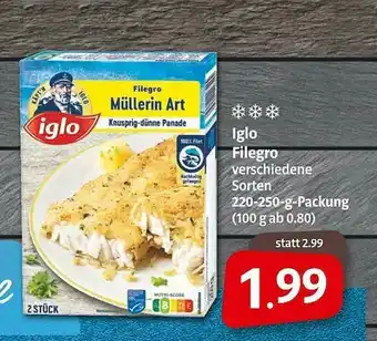 Markant Iglo Filegro Angebot