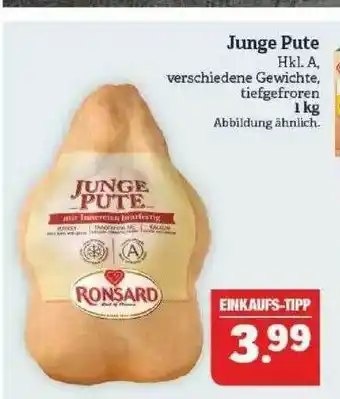 Marktkauf Junge Pute Angebot