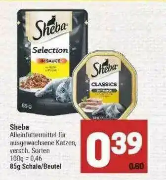 Marktkauf Sheba Angebot