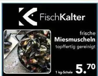 Multi Markt Frische Miesmuscheln Fischkalter Angebot