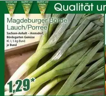 Norma Magdeburger Börde Lauch Porree Angebot