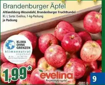 Norma Brandenburger äpfel Angebot