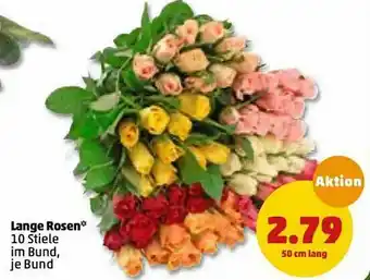 PENNY Lange Rosen Angebot