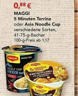 Wasgau Maggi 5 Minuten Terrine Oder Asia Noodle Cup Angebot