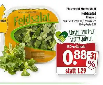 Wasgau Feldsalat Angebot