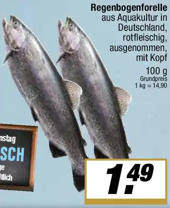 L. STROETMANN GROSSMARKT Regenbogenforelle Angebot