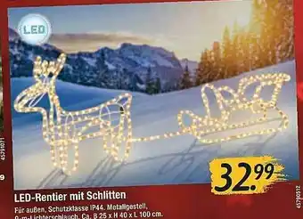 Hagebau Led-rentier Mit Schlitten Angebot