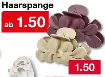 Woolworth Haarspange Angebot