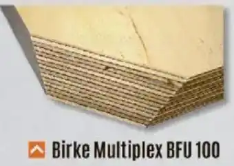 V Baumarkt Birke Multiplex BFU 100 Angebot