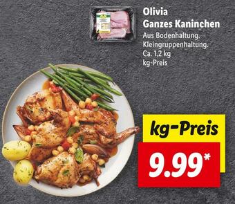 Lidl Olivia ganzes kaninchen Angebot