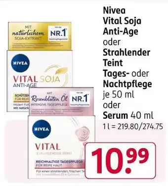 Rossmann Nivea vital soja anti-age oder strahlender teint tages- oder nachtpflege Angebot