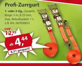 Sonderpreis Baumarkt Profi-Zurrgurt Angebot