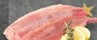 E-Center Welshybridfilet Angebot