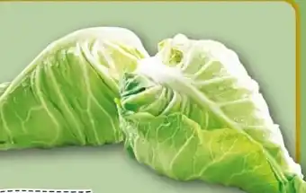 REWE Spitzkohl Angebot