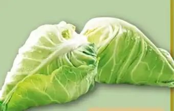 REWE Center Spitzkohl Angebot