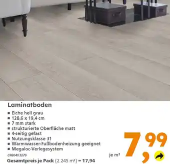 Globus Baumarkt Laminatboden Angebot