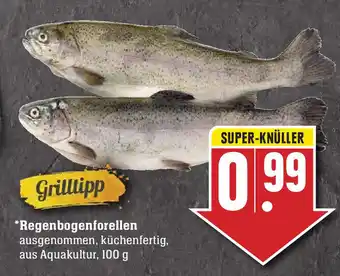 Edeka Regenbogenforellen 100g Angebot