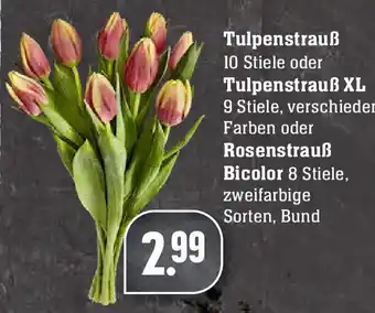 Edeka Tulpenstrauß oder Tulpenstrauß XL oder Rosenstrauß Bicolor Angebot