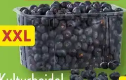 Aldi Nord Kulturheidelbeeren XXL Angebot