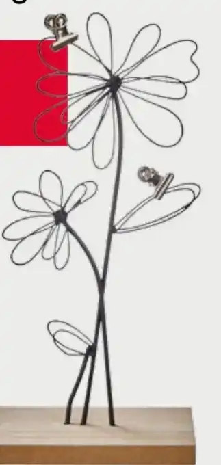 Woolworth Fotohalter Angebot