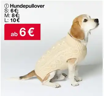 Woolworth Hundepullover Angebot