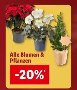 Lidl 20% Angebot