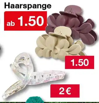 Woolworth Haarspange Angebot