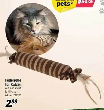 Rofu Kinderland Federrolle Für Katzen Angebot