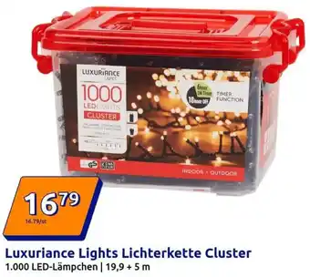 Action Luxuriance Lights Lichterkette Cluster Angebot