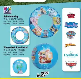 Rofu Kinderland Wasserball Paw Patrol Angebot