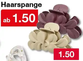 Woolworth Haarspange Angebot