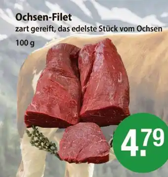 V Markt Ochsen-filet Angebot