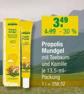 V Markt Bergland propolis mundgel Angebot