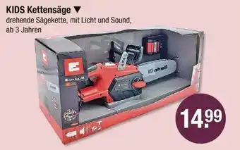 V Markt Einhell kids kettensäge Angebot