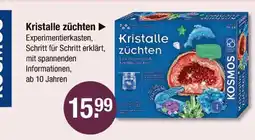 V Markt Kosmos kristalle züchten Angebot