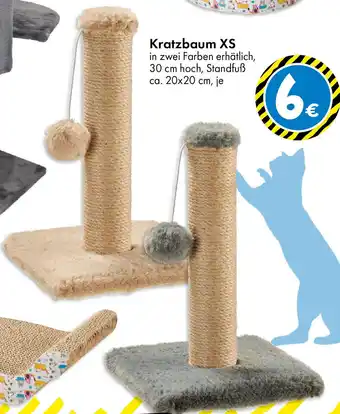 TEDi Kratzbaum XS Angebot