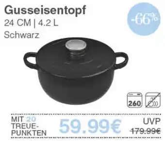 diska Gusseisentopf Angebot