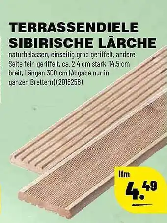 Leitermann Baumarkt Terrassendiele Sibirische Lärche Angebot