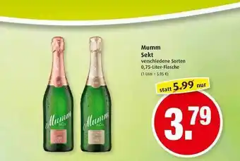 Markant Mumm Sekt Angebot