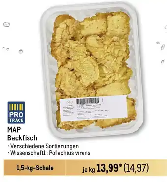 METRO MAP Backfisch Angebot