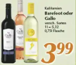 inkoop Kalifornien Barefoot oder Gallo Angebot