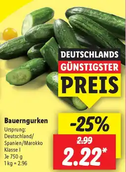 Lidl Bauerngurken Angebot