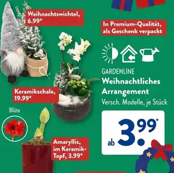 Aldi Süd GARDENLINE Weihnachtliches Arrangement Angebot