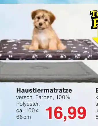 Wiglo Wunderland Haustiermatratze Angebot