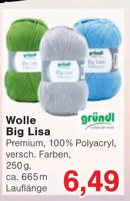 Wiglo Wunderland Wolle Big Lisa Angebot