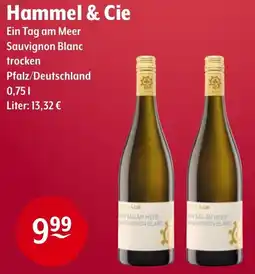 Trink und Spare Hammel & Cie Angebot