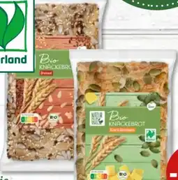 PENNY Bio Knäckebrot Angebot