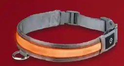 Lidl LED-Hundehalsband Angebot